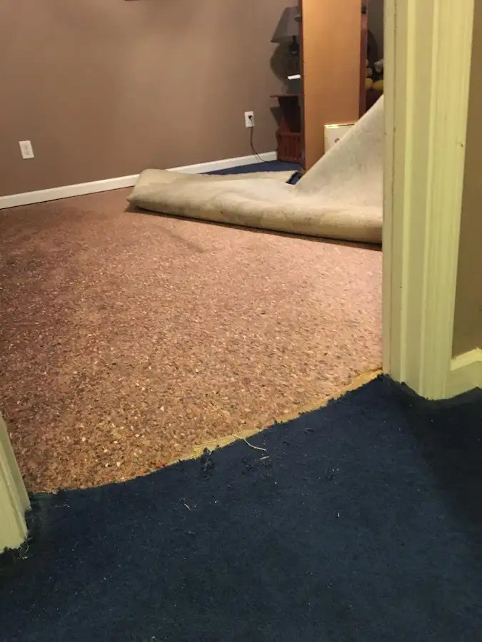 Carpet pad removal revealing water damage during Water Mitigation Services in Mims
