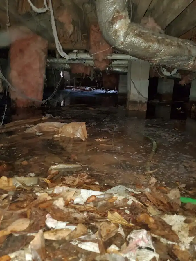Crawl space flood assessment for Leak Detection & Repair in Mims
