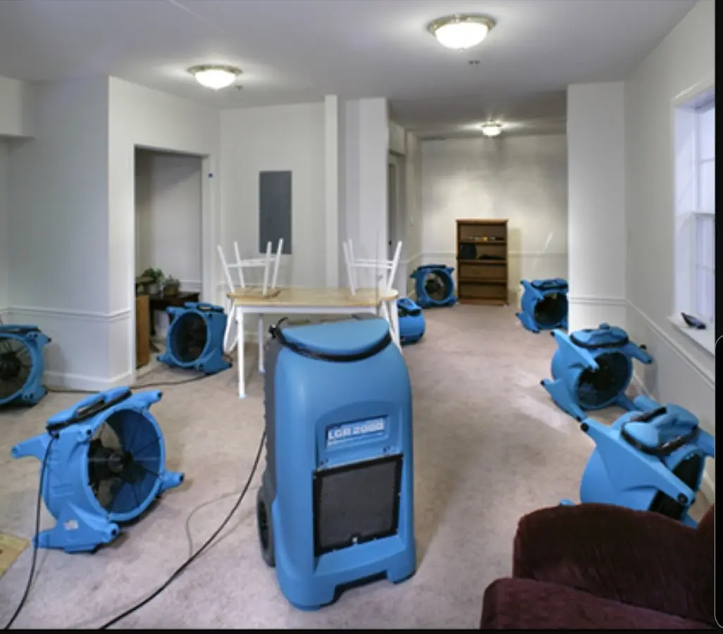 Air movers and dehumidifier setup for Water Extraction & Removal in Mims