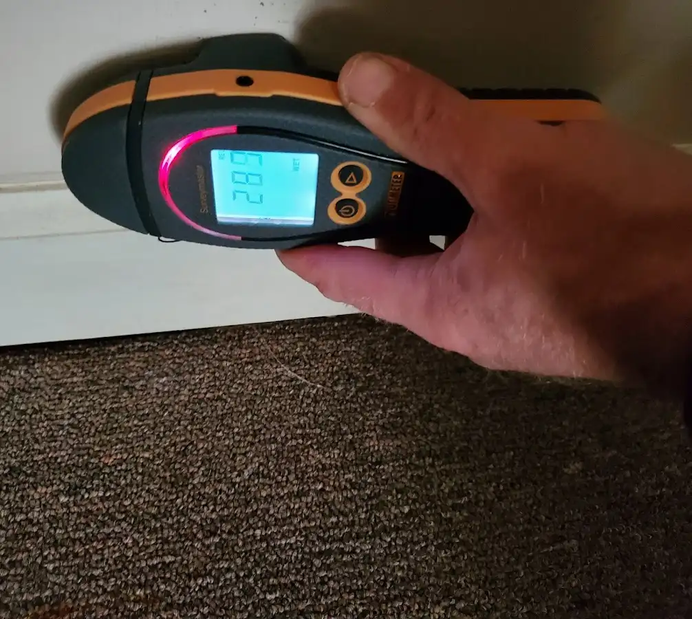 Moisture detection at baseboard during Mold Inspection & Testing in Mims